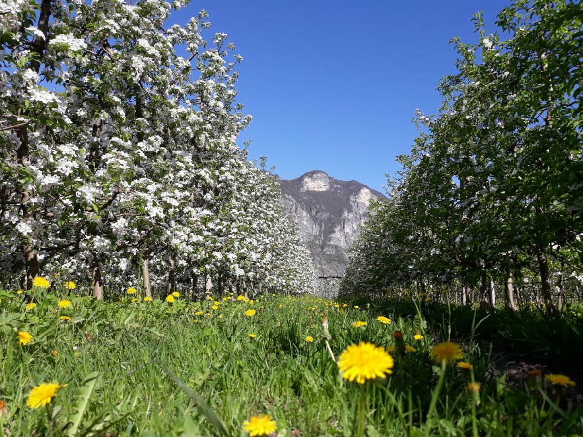 Agriturismo L' Isola Di Arturo Trento Exteriér fotografie