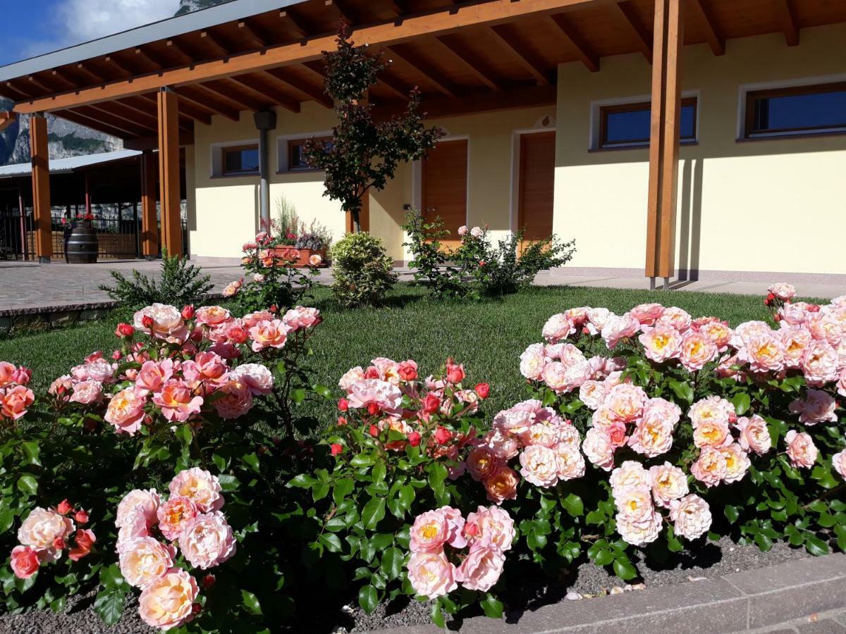 Agriturismo L' Isola Di Arturo Trento Exteriér fotografie