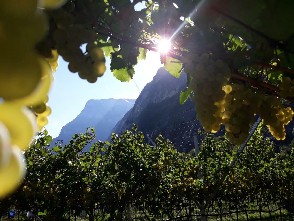 Agriturismo L' Isola Di Arturo Trento Exteriér fotografie